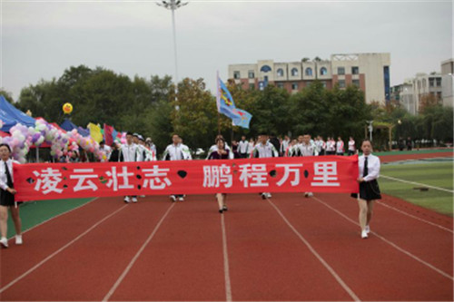 图片 41