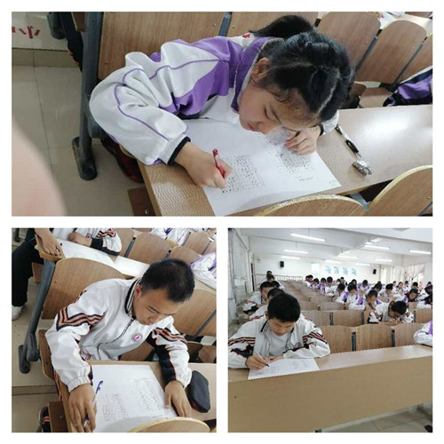 图片 13
