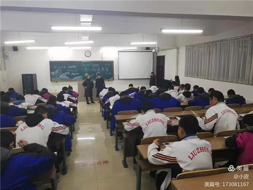 图片 12
