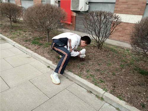 图片 132