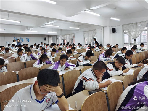 图片8