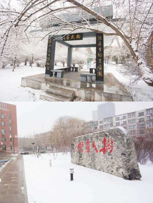 图片 14