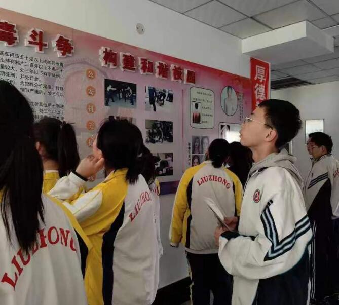 QQ截图20241120111329